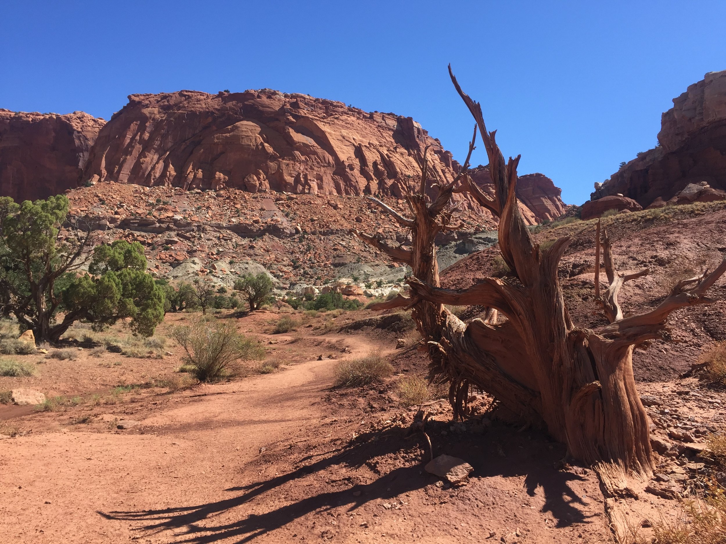 Eager to Join Trump’s Space Marines? Consider Visiting Capitol Reef National Park